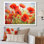 Radiant rouge coquelicots