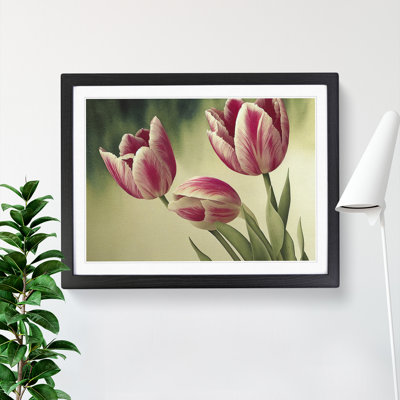 Spectacular Tulip Flowers - Framed Print