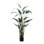 5.5' Faux Water Canna in Liner