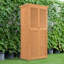 Radhika 3 ft. W x 2 ft. D Solid Wood Overlap Flat Tool Shed