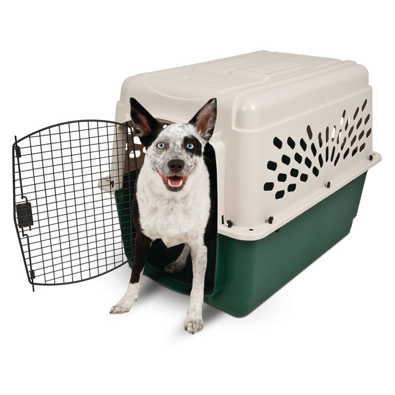 Support en plastique pour chien, H 27 po x l 25 po x P 36 po