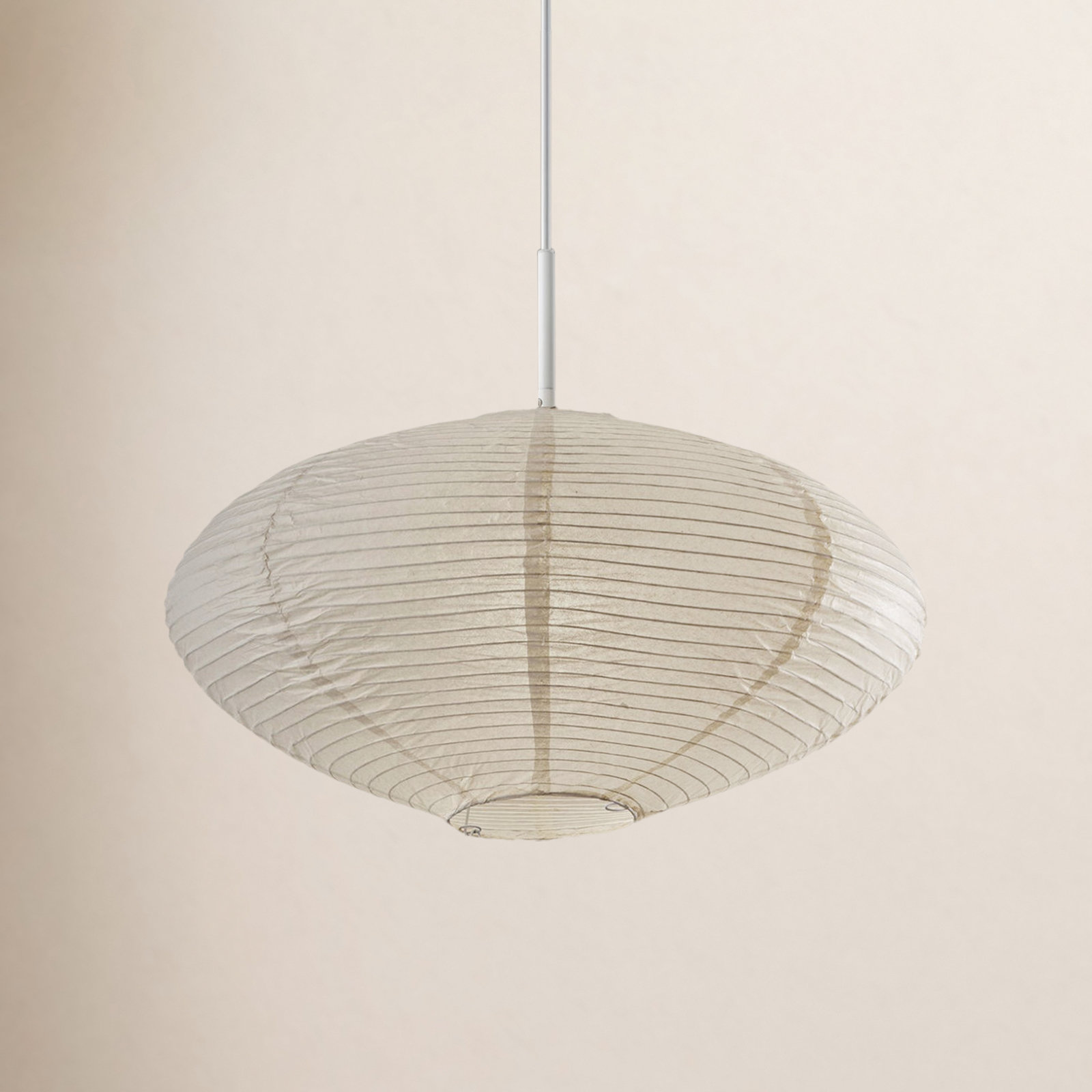 Single Light Pendant