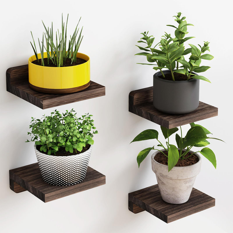 Ottava Square Paulownia Floating Shelf, Dark Carbonized Black
