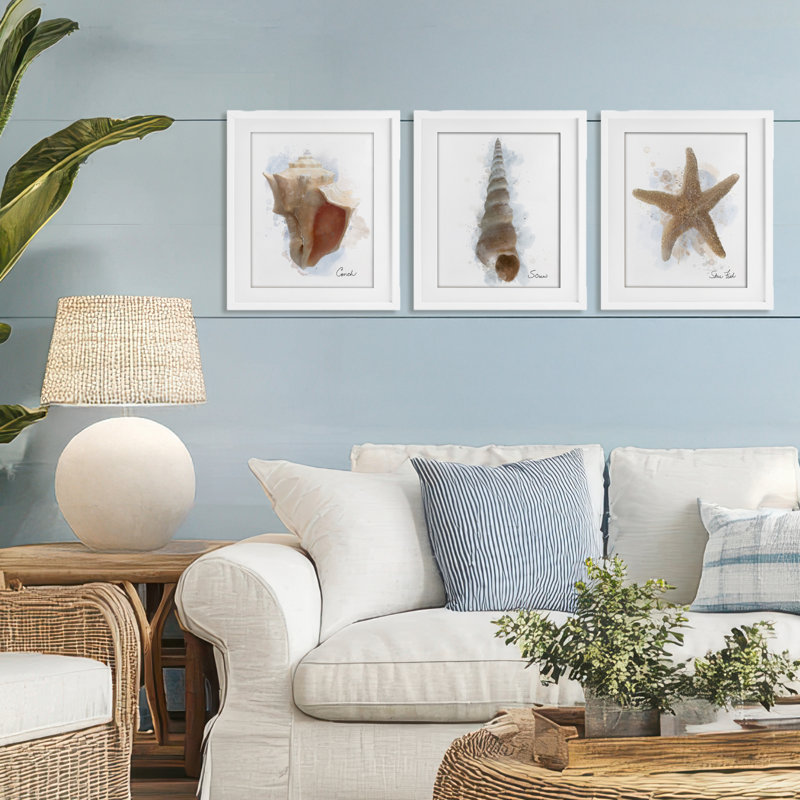 Ensemble de 3 impressions encadrées sous verre Honeybloom Coastal Seashells, par Matthew Piotrowicz, H 16 po x l 39 po