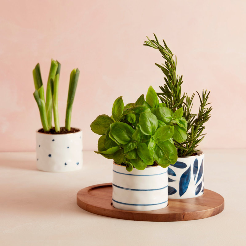 Lenox Blue Bay Snack Bowls, Set Of 3, With Wood Tray