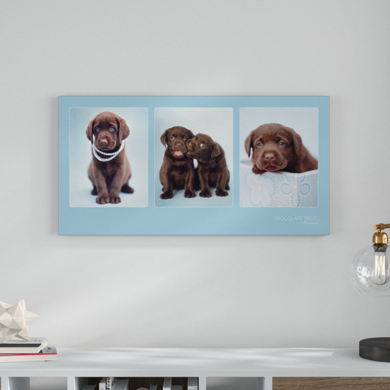 Rachael Hale - No Frame Print