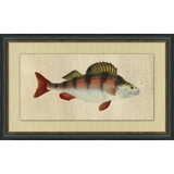 Fish Study 4 Painting