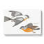 Grey Fluff Tits by Johan Teyler - Wrapped Canvas-55309081