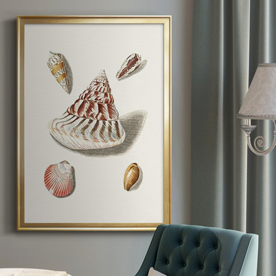 Pastel Knorr Shells VII, reproduction encadrée de qualité supérieure - prête à être accrochée