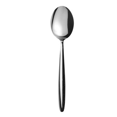 Acqua Stainless Steel Coffee Spoon