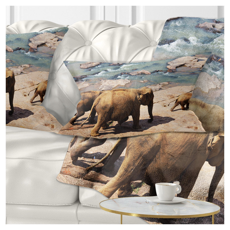 Coussin Schafer