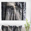 «Sunbeam Through Black White Forest», photographie-35125685-35125691