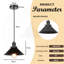 Latrell 5 - Light Black Single Pendant-2111336707