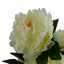 Plastic, Silk Peony Arrangement in Pot