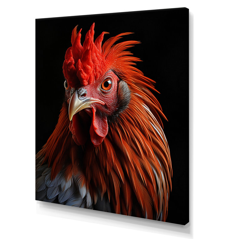 Gros plan d'un coq brun, H 32 po x l 24 po x P 1 po, Toile tendue