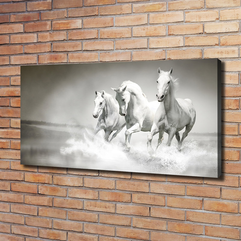 White Horses - Wrapped Canvas Print