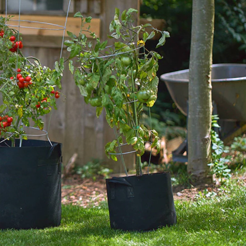 Pot Planter