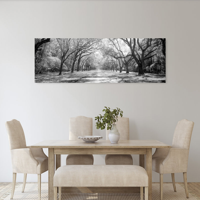 Live Oaks and Spanish Moss Wormsloe State Historic Site Savannah GA 1 Piece Wrapped Canvas Panoramic Wall Art