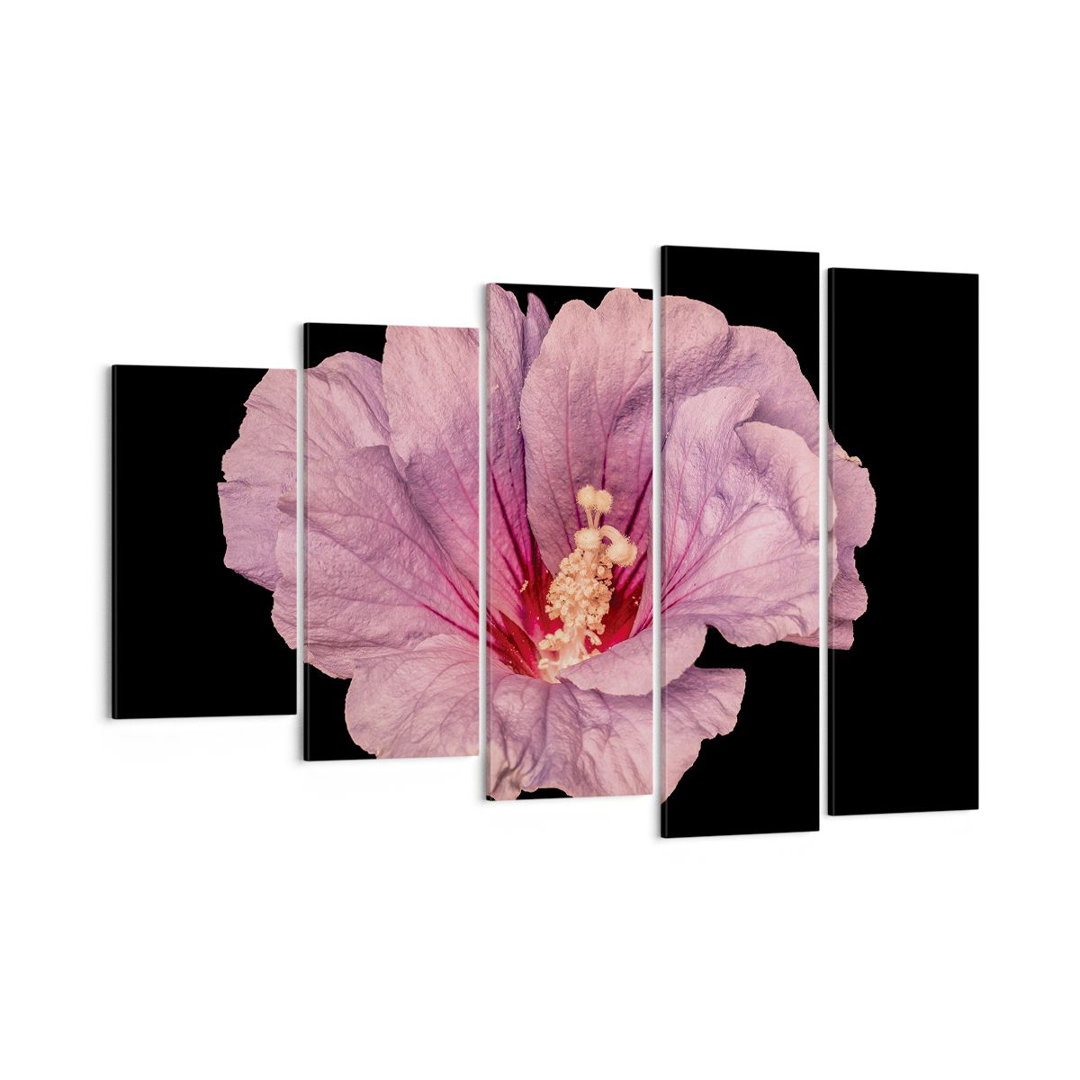 5-tlg. Leinwandbilder-Set Hibiscus Flower Pink