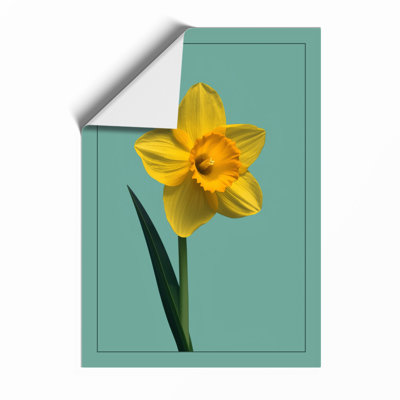 Single Daffodil Botanical - Framed Print