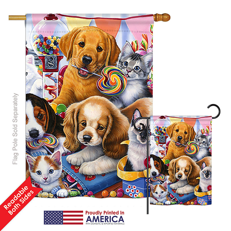 Double Sided 40'' H x 28'' W Polyester Flag Set