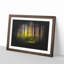 Forest Dreams - Picture Frame Graphic Art Print-56863037-56863033