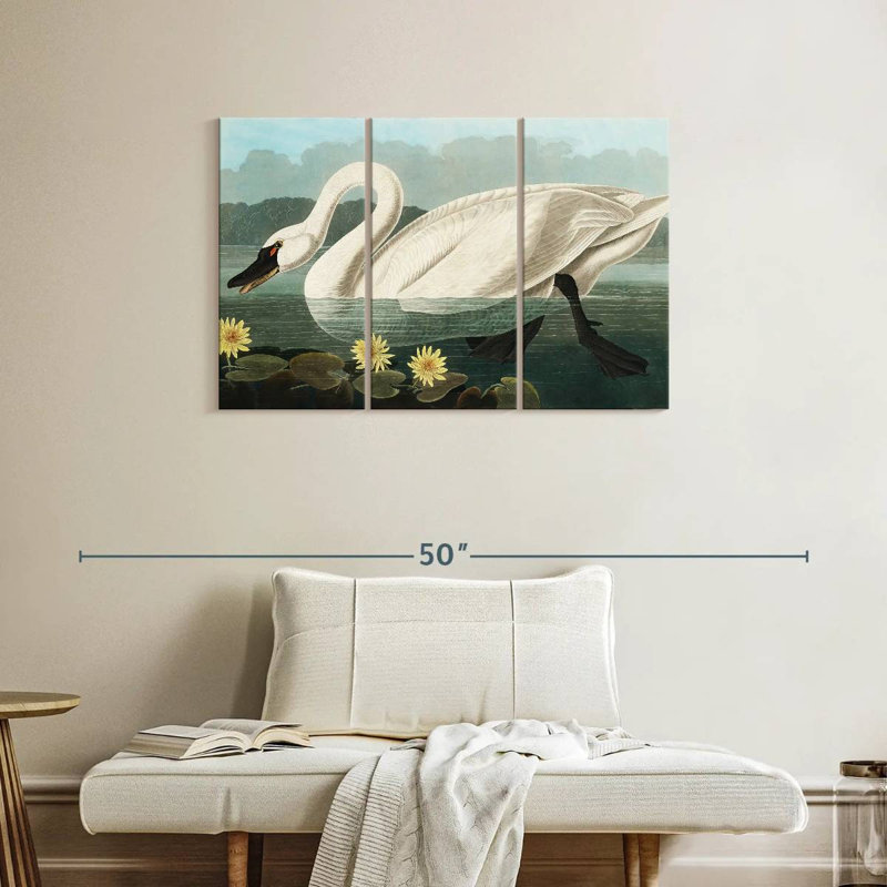Cygne d'Amérique commun Brampt, H 24 po x l 38 po