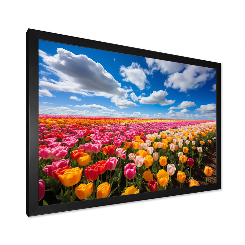Champ de tulipes colorées I - art mural tulipe, Cadre d'angle fermé noir, H 16 po x l 32 po x P 1 po