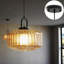 1 - Light Matte Black Pendant