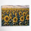Art mural sur toile vert, "Thanksgiving tournesols"-414454098