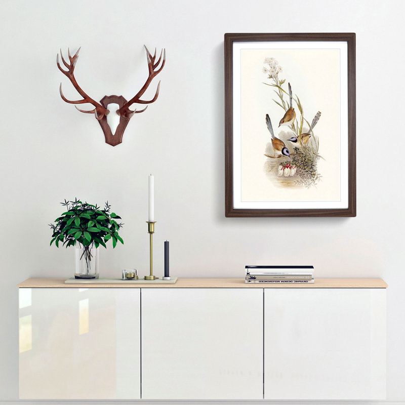 Crowned Wrens by Elizabeth Gould - Framed Print, 48cm H x 36cm W x 2cm D, Walnut Framed