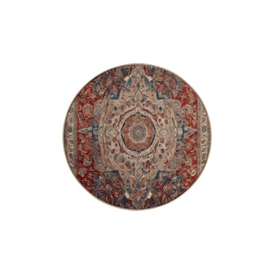 Machine Washable Brown Area Rug