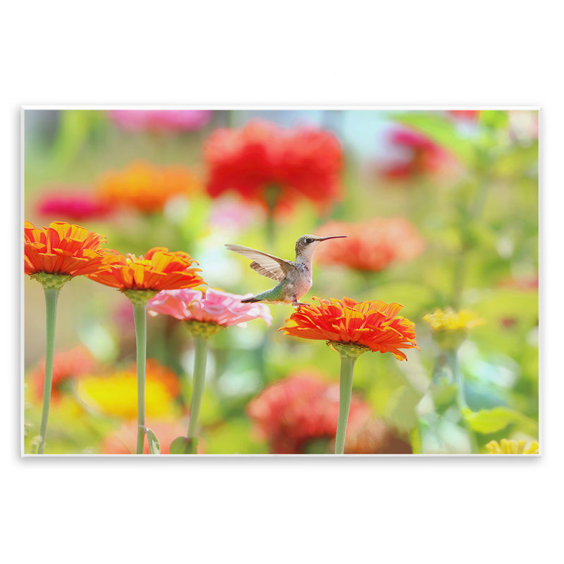 Plaque murale Sugar Fairy Hummingbird, design par Carrie Ann Grippo-Pike, H 13 po x l 19 po