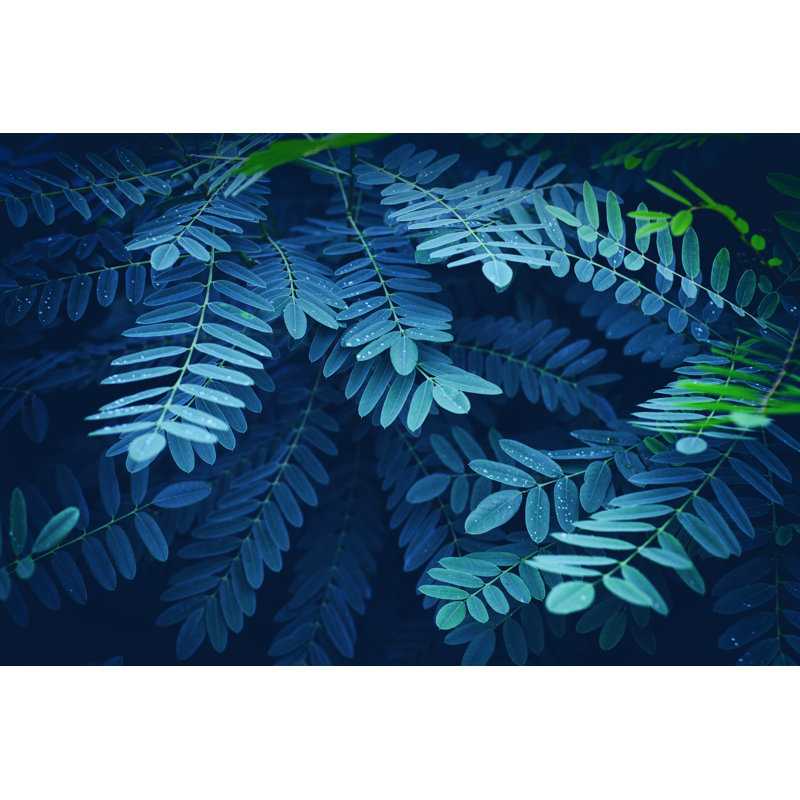 Black Locust Leaves Background by Draganab, 20" H x 30" W