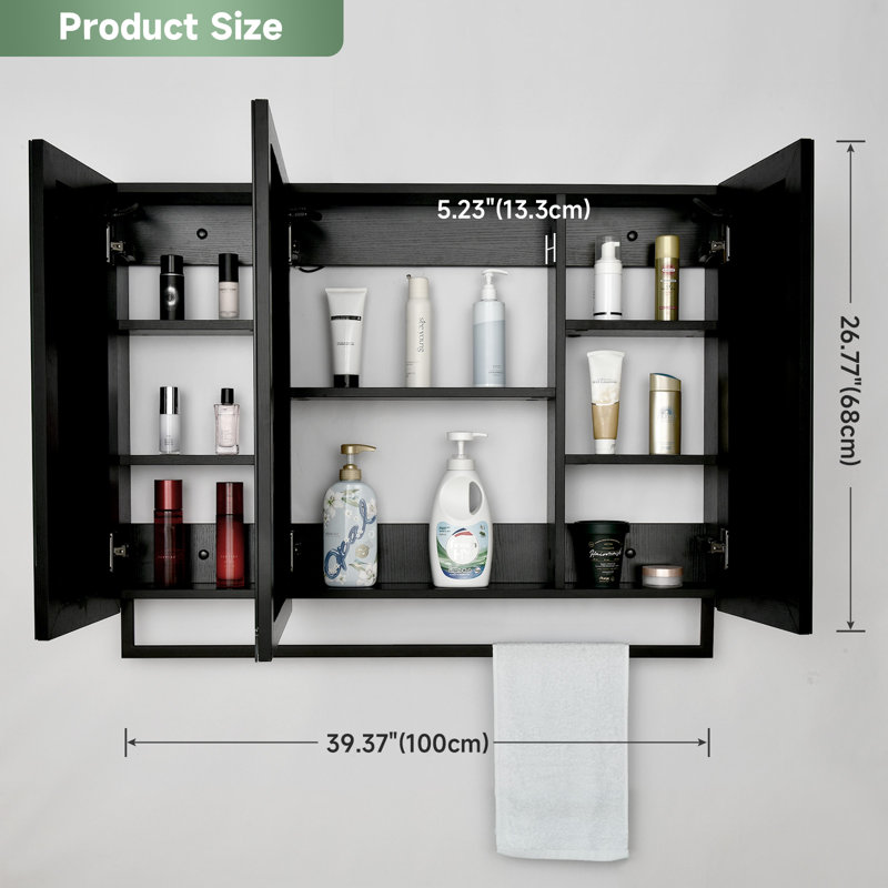 Daciano 100cm W 60cm H Surface Mount Mirror Cabinet 