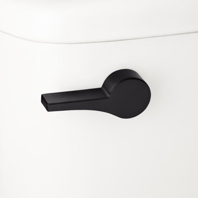 Bradenton Toilet Flush Handle