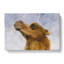 Camel - Wrapped Canvas-61848223
