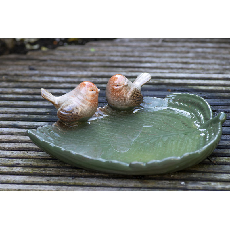 Bird Bath Robins on Leaf