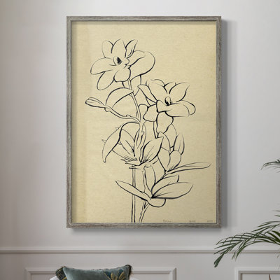 «Magnolia S croquis I», reproduction encadrée - bois massif