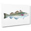 Atlantic Cod Fish by Edward Donovan - Wrapped Canvas Painting Pint - Wrapped Canvas-55367832