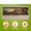 Grand terrarium Deneishia-123293283-52916583