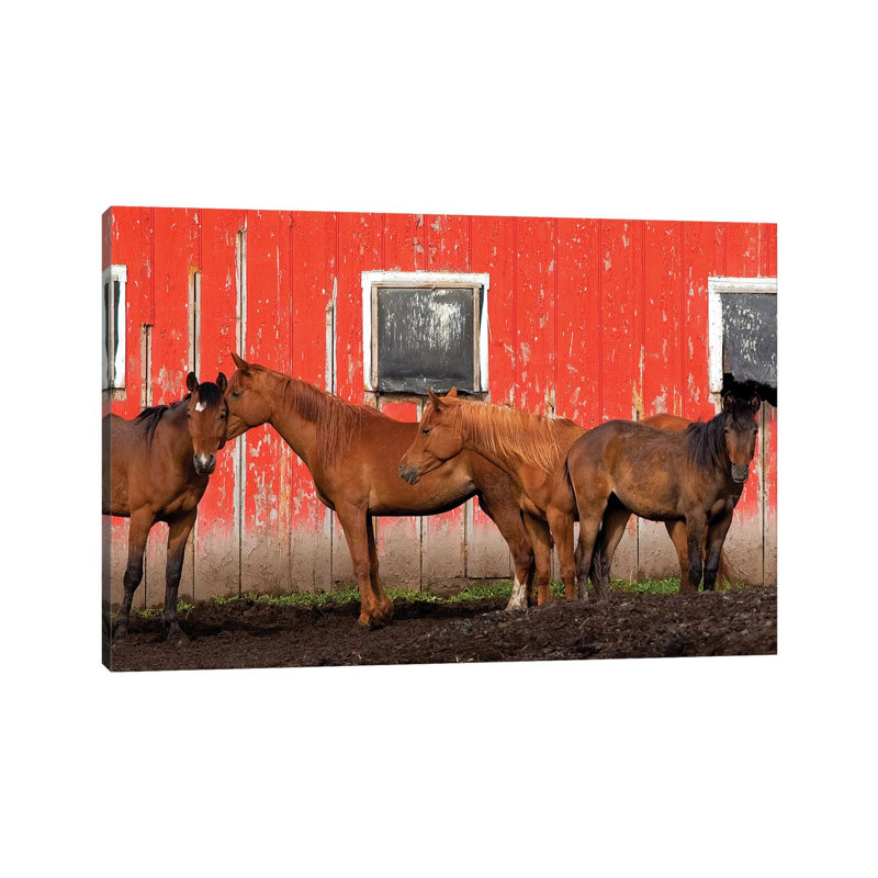 USA, Washington State, Palouse. Horses next to red barn. 1 Piece Wrapped Canvas Wall Art