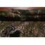 Tapis oriental contemporain en laine 9x12