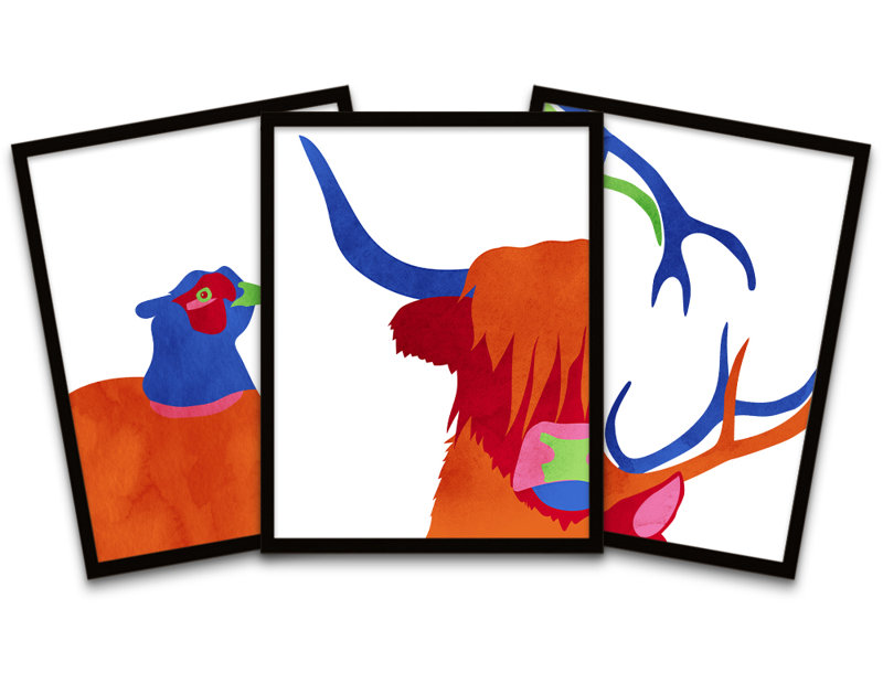Scottish Highland Wildlife 3 Piece Single Picture Frame and Floater Frame Wall Art