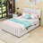 Full Velvet Upholstered Platform Bed with  Trundle-590548417