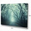Scary Forest with Green Light - reproduction de photo sur toile tendue-18435739