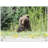 Roadside Bear Print Wall Art - Wildlife Bear Scenic Poster - Forest Nature Animal Artwork - Rustic Cabin Lodge Home Decor - Outdoor Adventure Wall Print - Minimalist Nature Illustration - Woodland Animal Gift-1150914134-1150914135