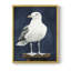 NAUTICAL Series Cxxxi - reproduction encadrée de qualité supérieure - prête à être accrochée - aucun clou requis-1049100116-1049100126