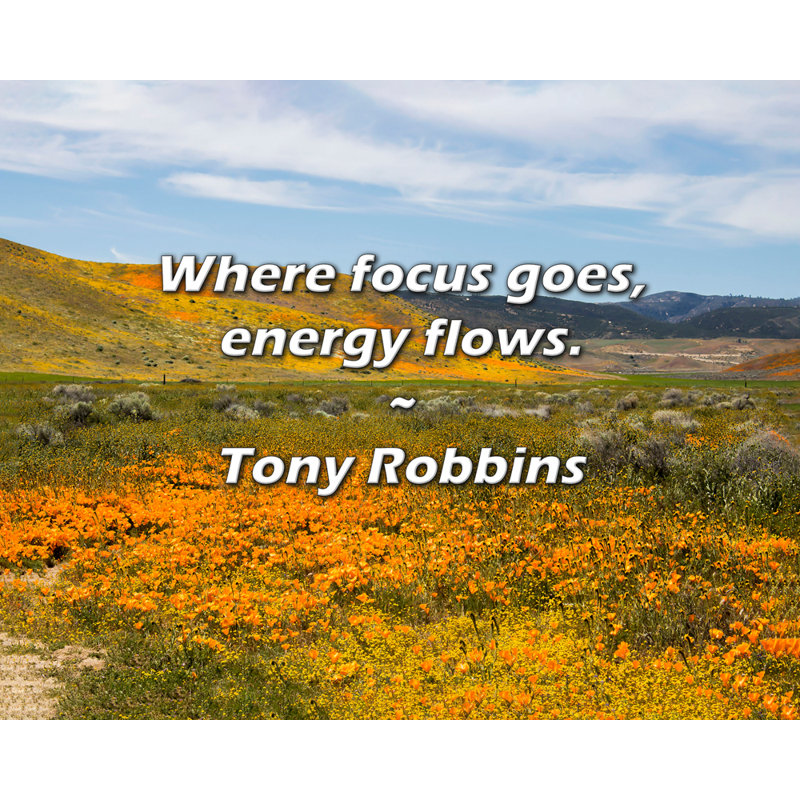 Citation de Tony Robbins: Où va la concentration, l'énergie circule.