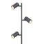 Ravens Floor Lamp